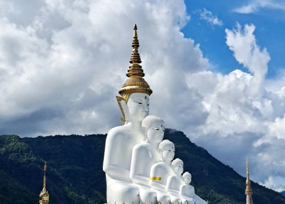 WhatsApp Image 2026-04-21 at 14.09.04