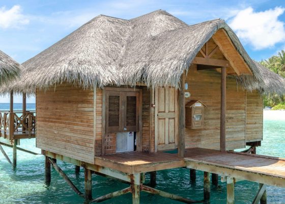 WhatsApp Image 2026-04-21 at 14.09.08 (1)